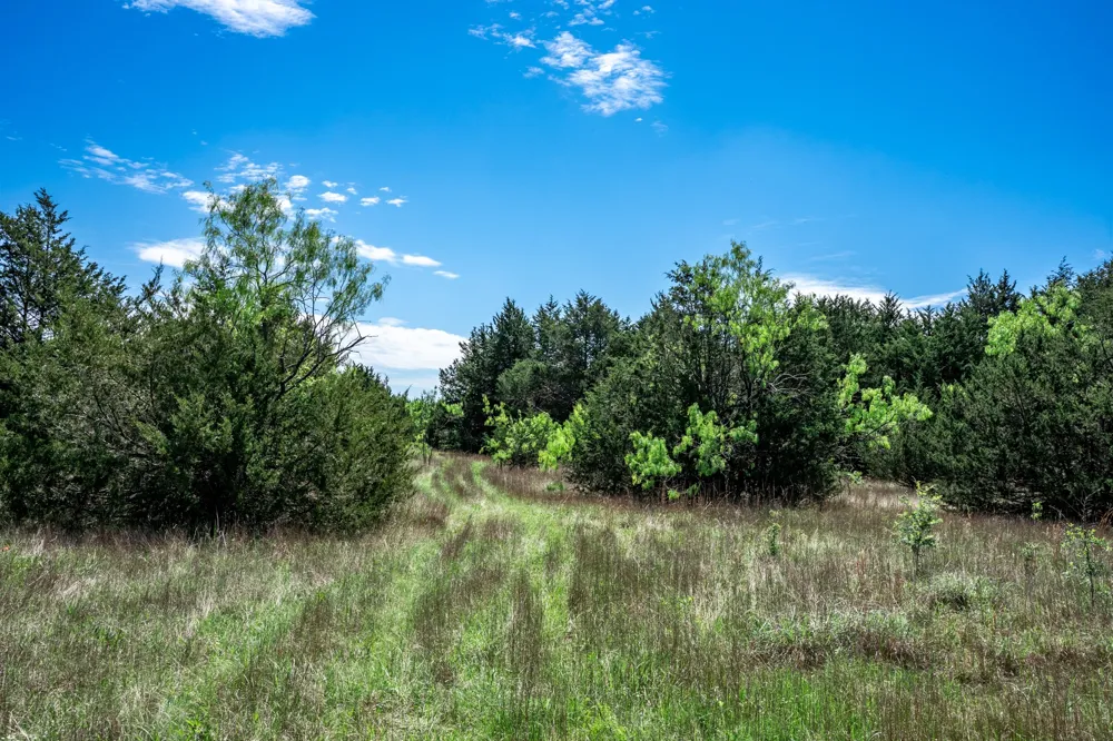 County Road 308 Terrell, TX 75160
