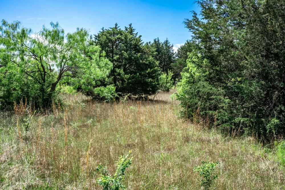 County Road 308 Terrell, TX 75160