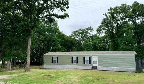 3193 Timberwild