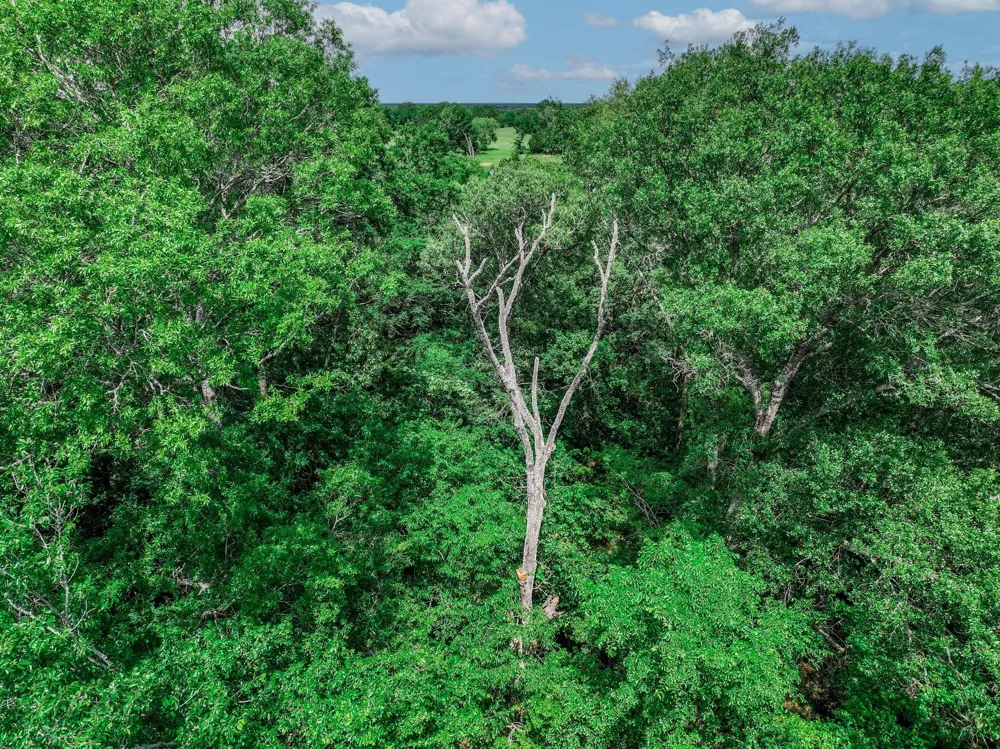 VZ County Road 3706 Edgewood, TX 75117