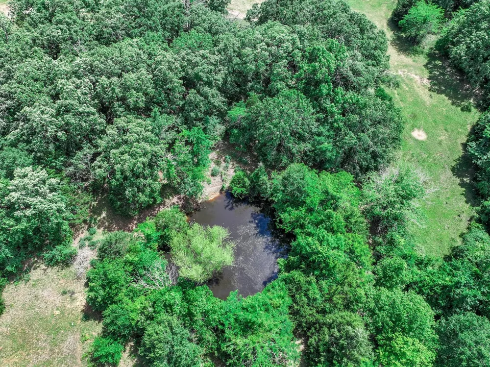VZ County Road 3706 Edgewood, TX 75117