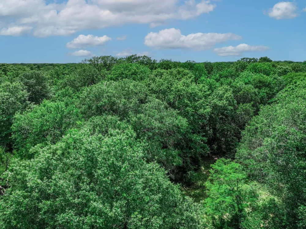 VZ County Road 3706 Edgewood, TX 75117