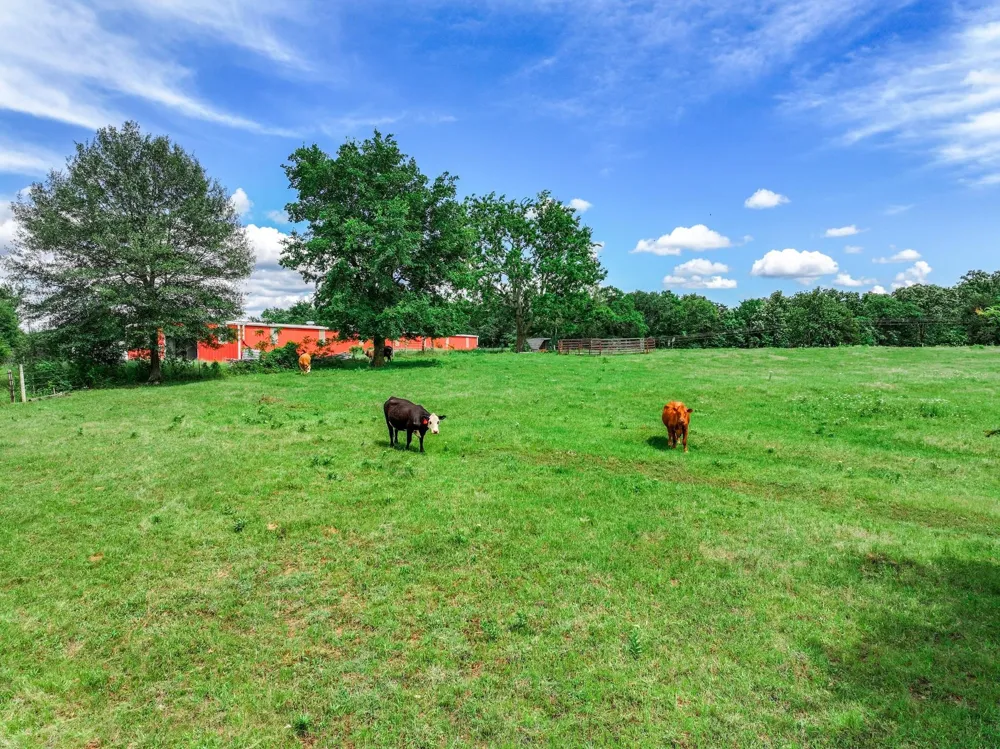 VZ County Road 3706 Edgewood, TX 75117