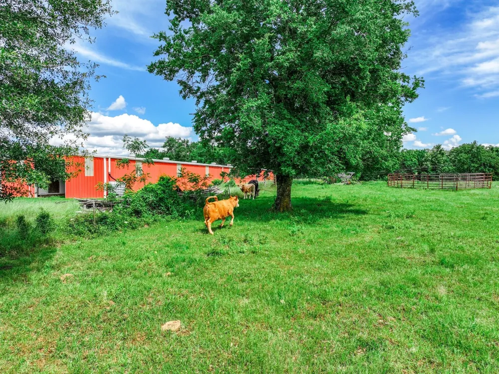VZ County Road 3706 Edgewood, TX 75117