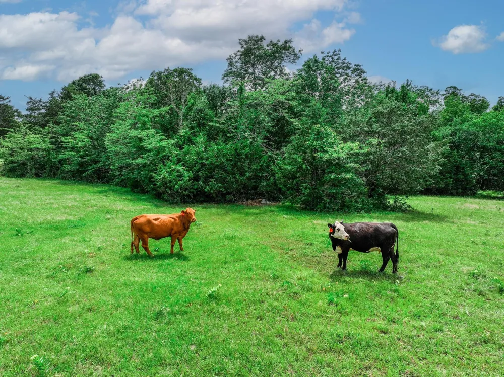 VZ County Road 3706 Edgewood, TX 75117