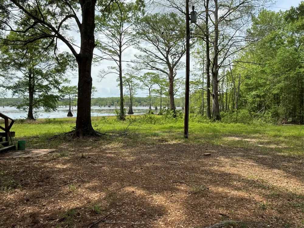 11756 Catfish Road Vivian, LA 71082
