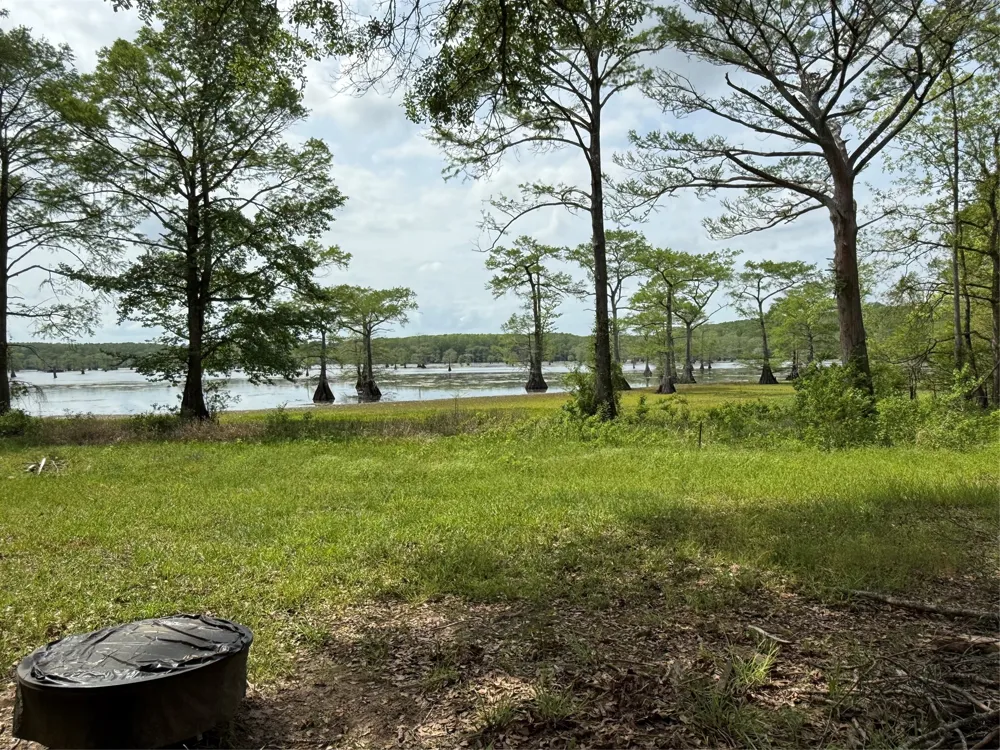 11756 Catfish Road Vivian, LA 71082