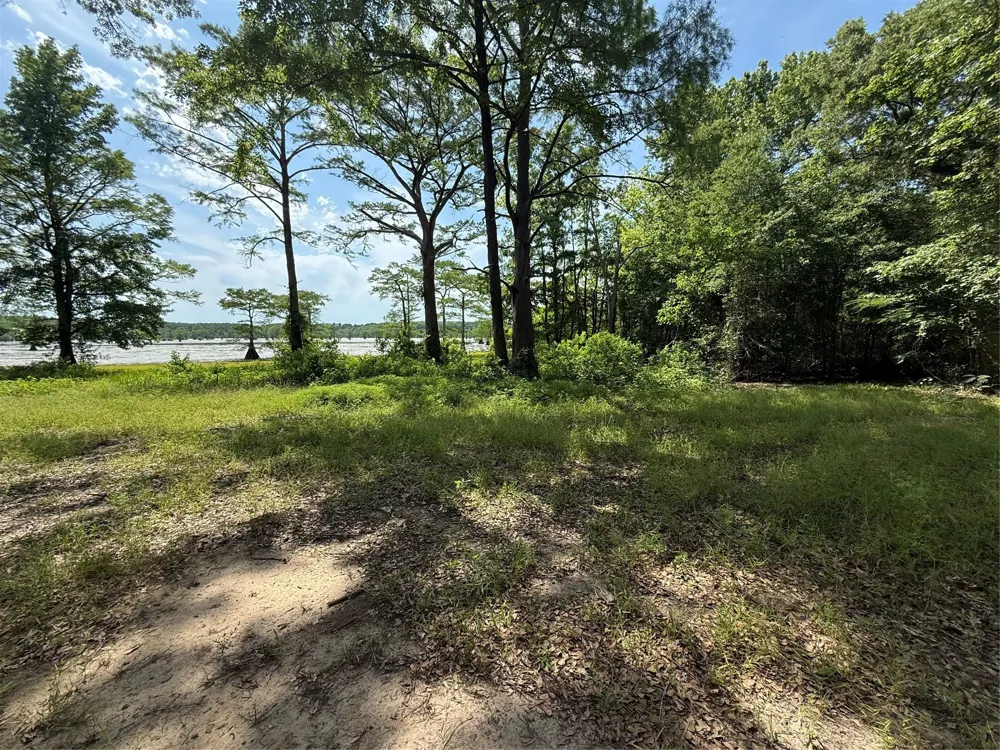 11756 Catfish Road Vivian, LA 71082