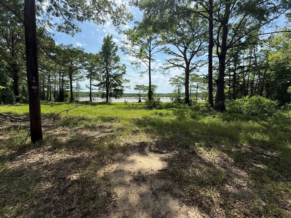 11756 Catfish Road Vivian, LA 71082