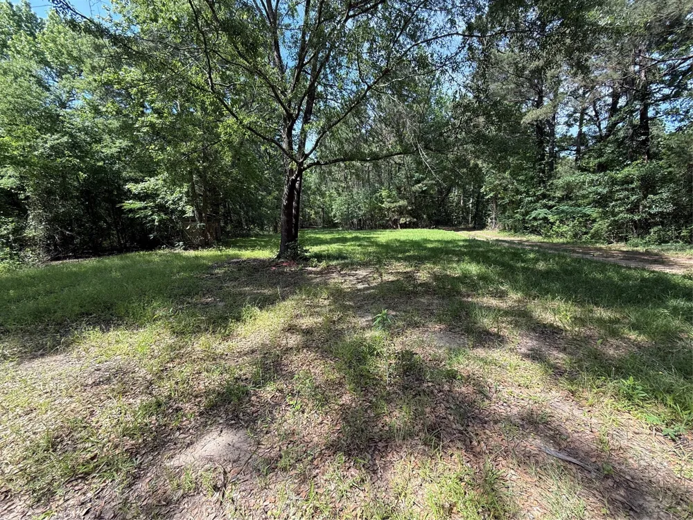 11756 Catfish Road Vivian, LA 71082