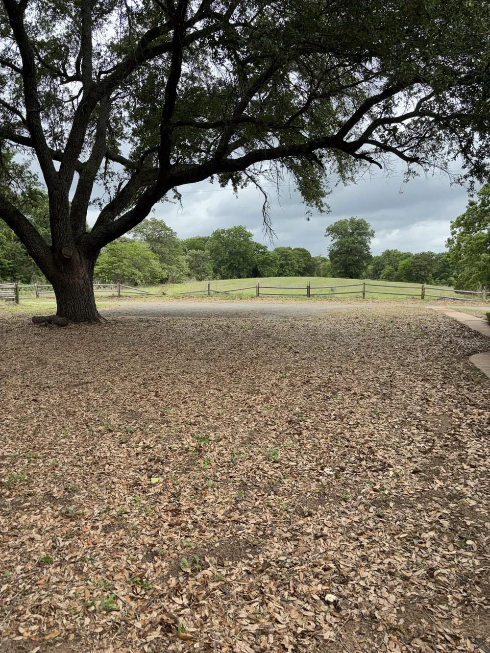 14070 County Road 3520 Brownsboro, TX 75756