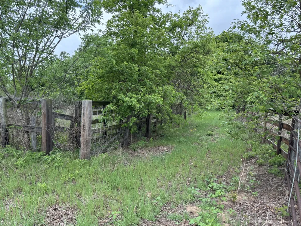 14070 County Road 3520 Brownsboro, TX 75756