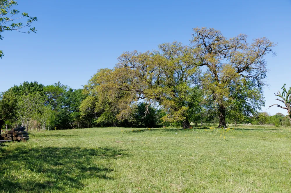 5973 Fm 344 E Tyler, TX 75703