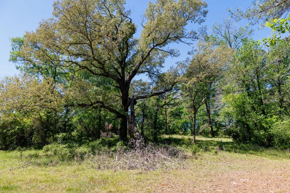5973 Fm 344 E Tyler, TX 75703