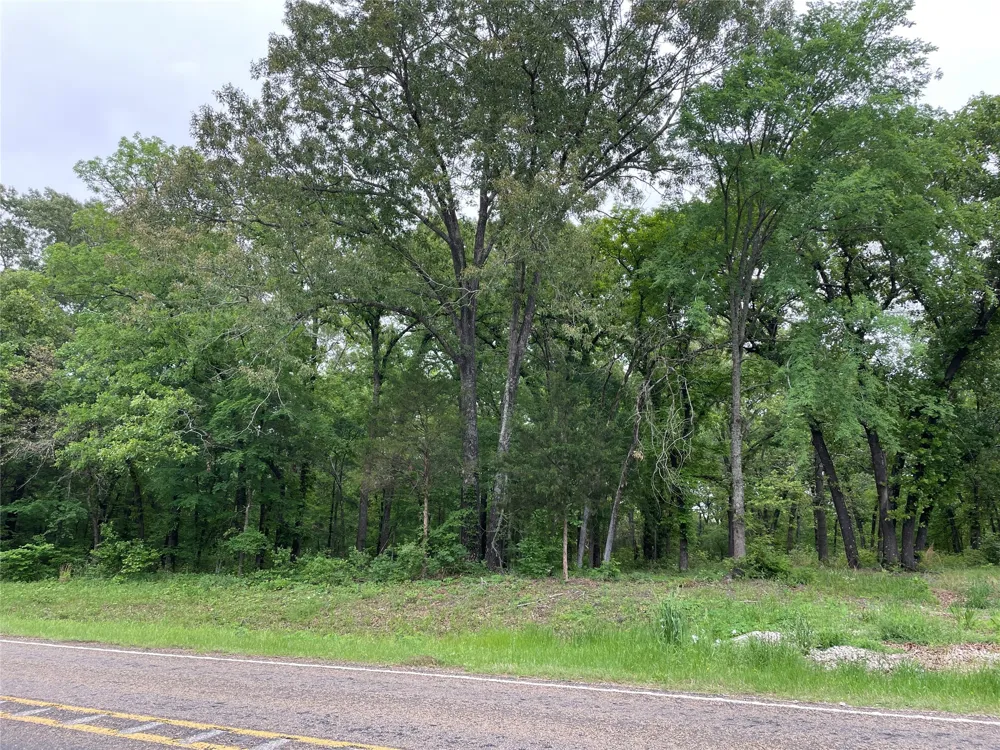Valle Vista Road Athens, TX 75751