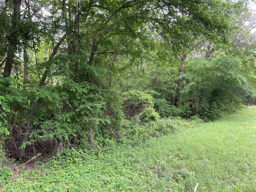 Valle Vista Road Athens, TX 75751