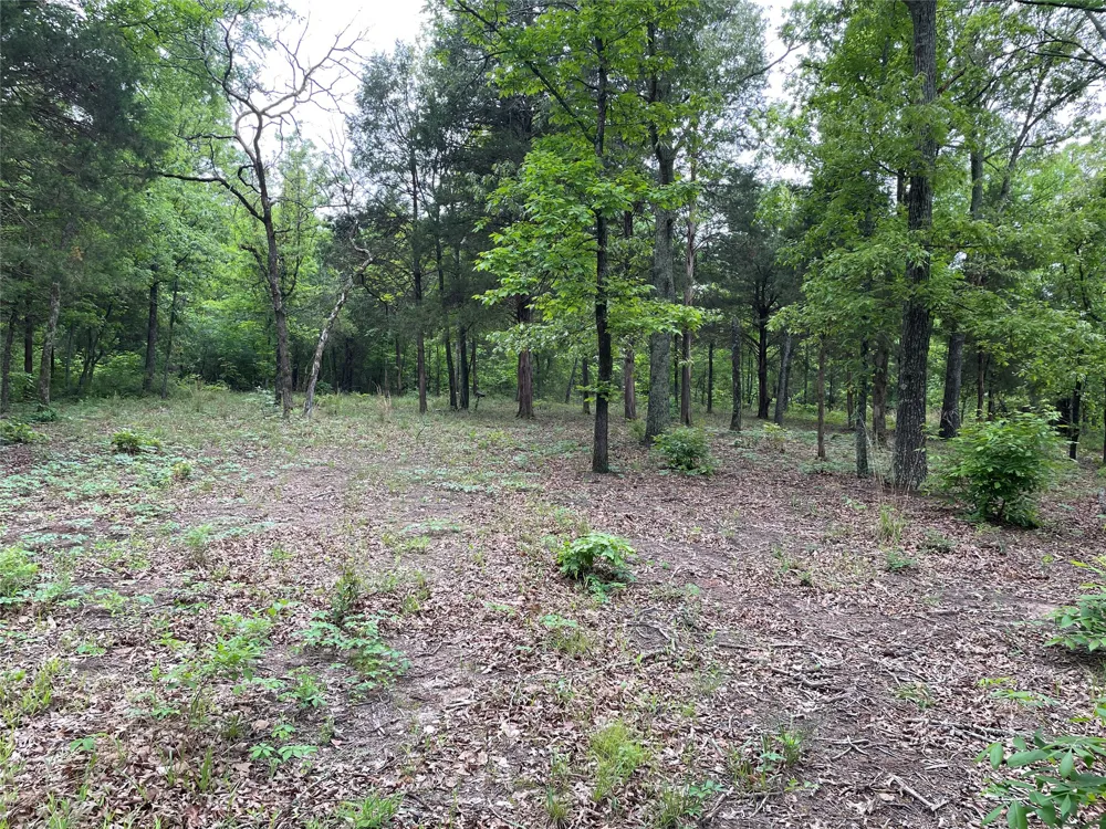 Valle Vista Road Athens, TX 75751