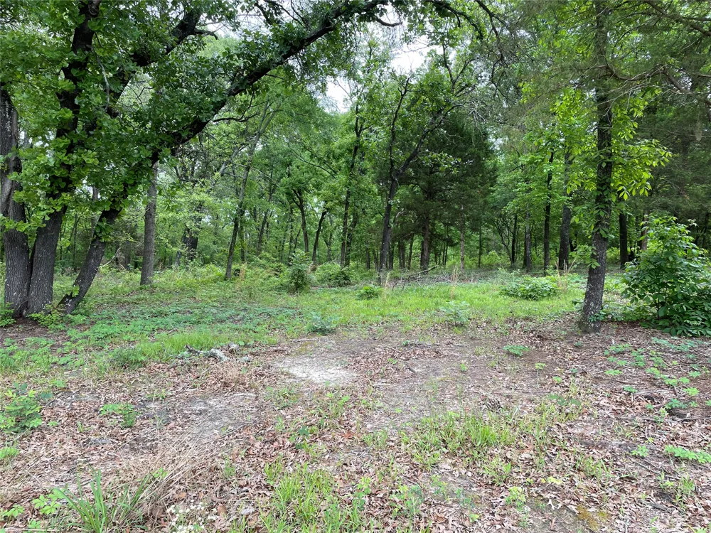 Valle Vista Road Athens, TX 75751