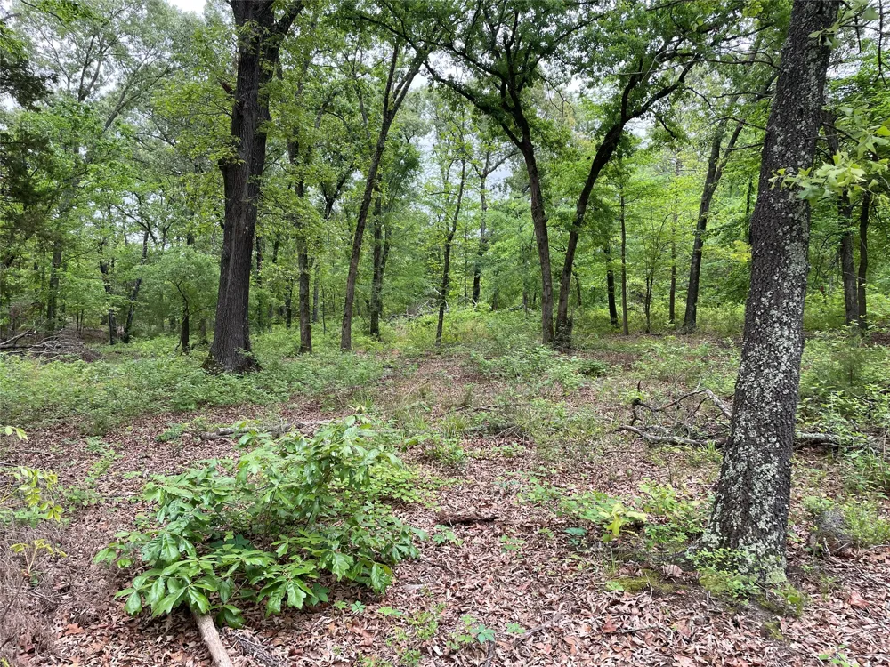 Valle Vista Road Athens, TX 75751