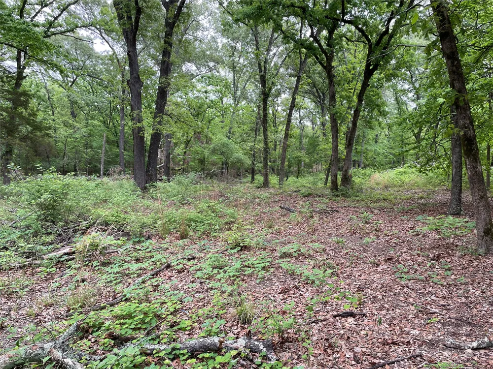 Valle Vista Road Athens, TX 75751
