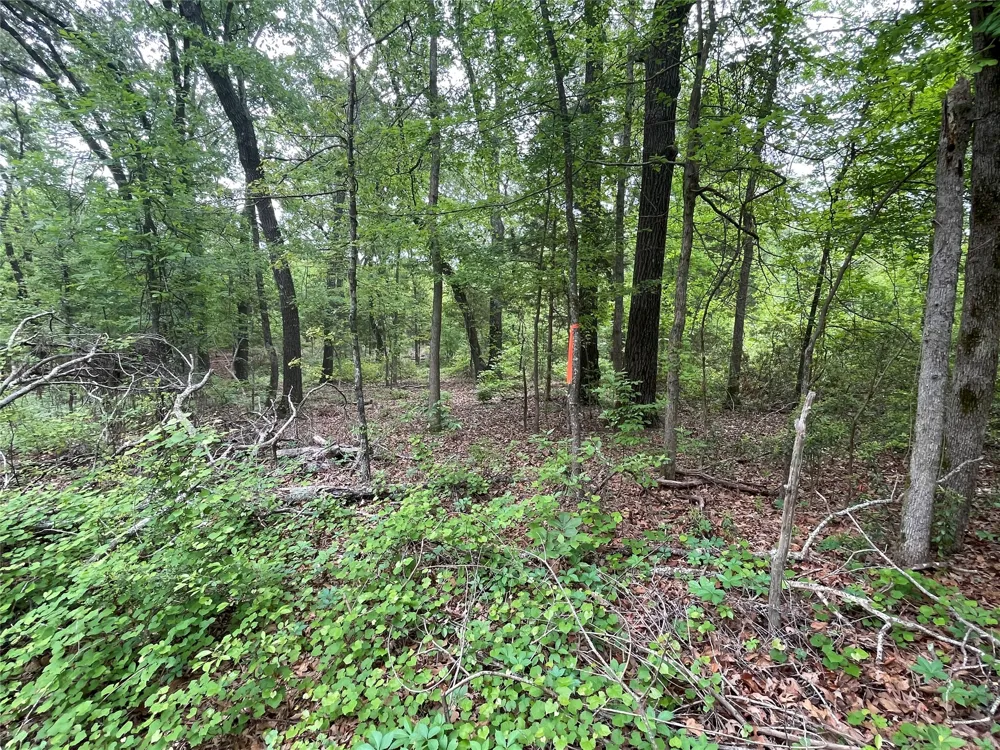 Valle Vista Road Athens, TX 75751
