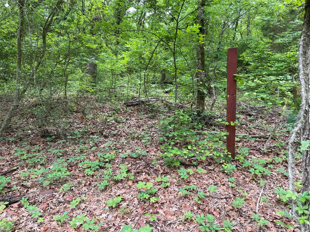 Valle Vista Road Athens, TX 75751