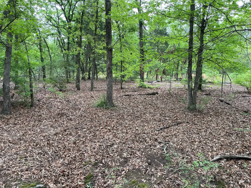 Valle Vista Road Athens, TX 75751