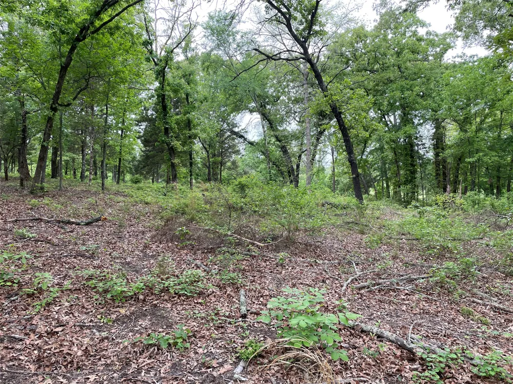 Valle Vista Road Athens, TX 75751