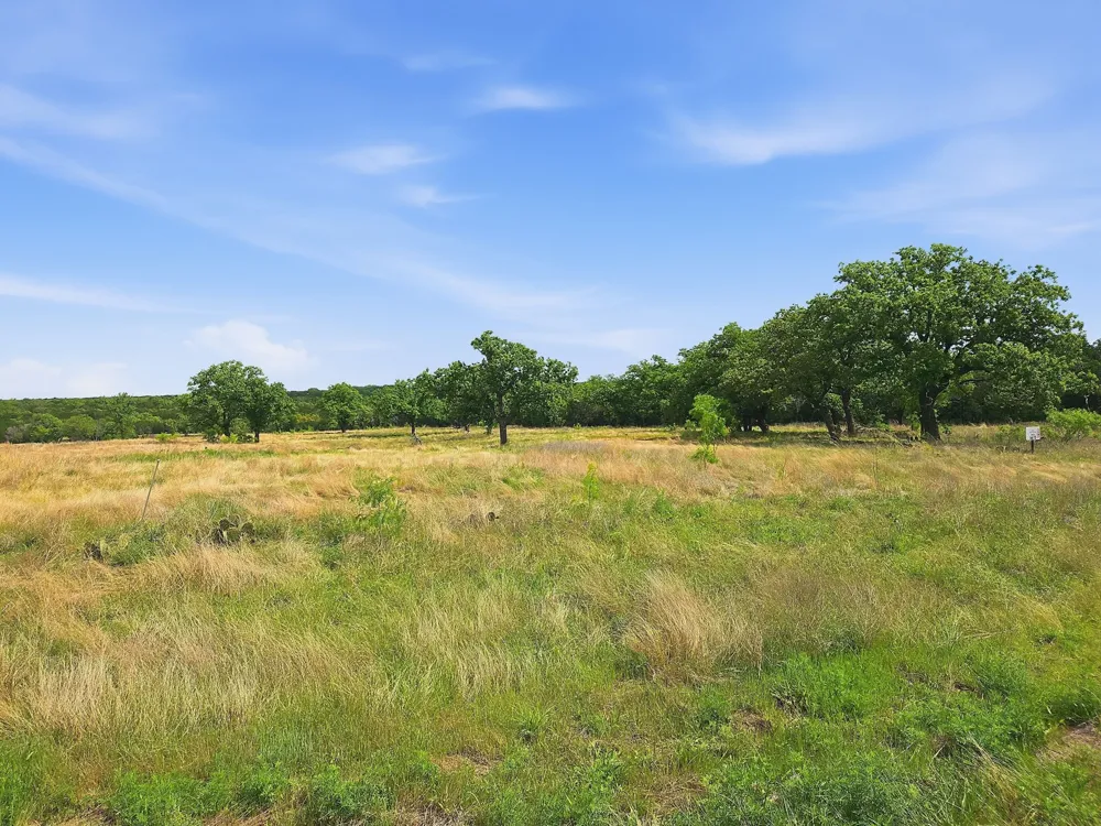PR 42103 Evant, TX 76525