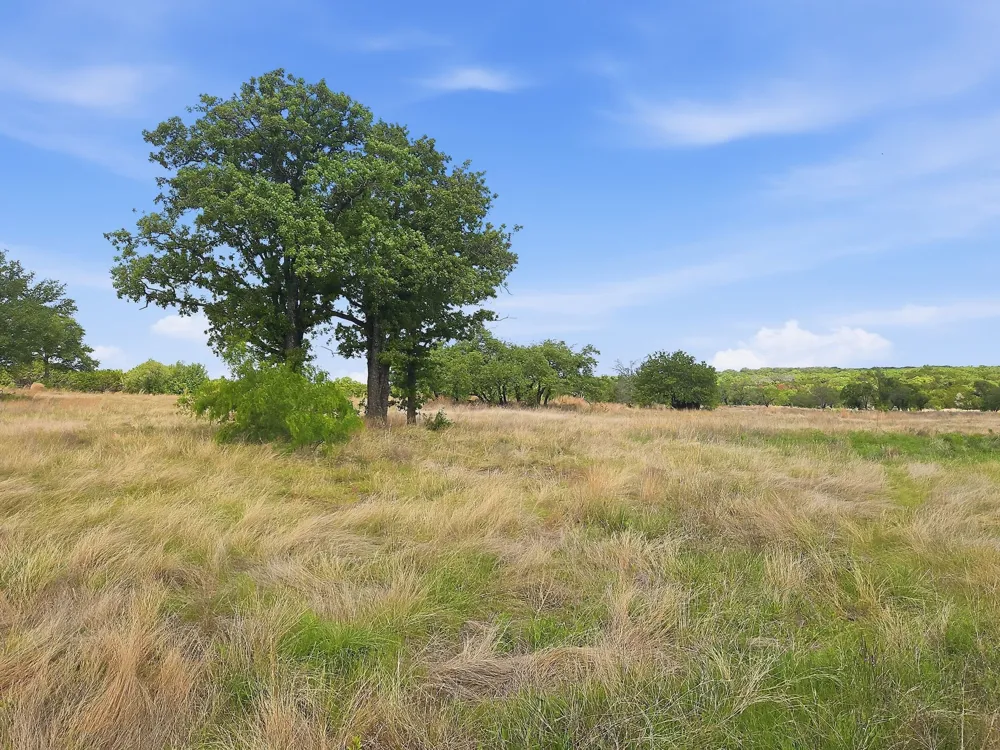 PR 42103 Evant, TX 76525
