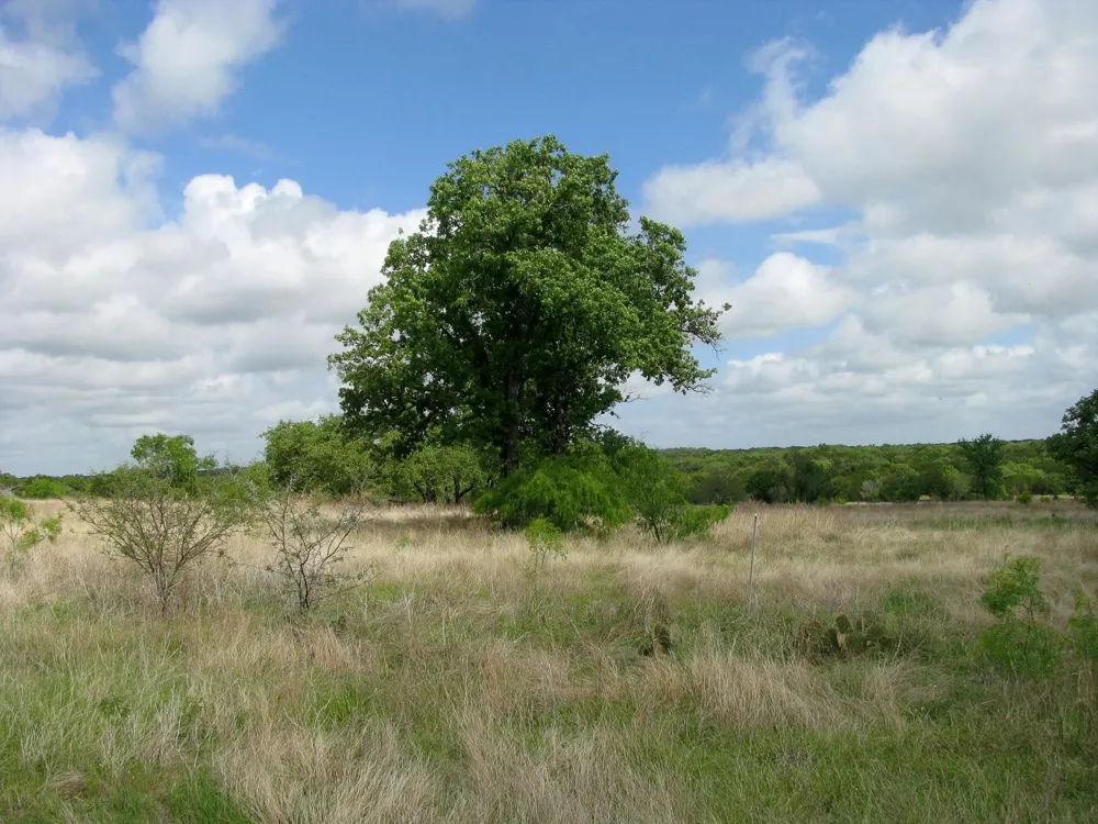 PR 42103 Evant, TX 76525