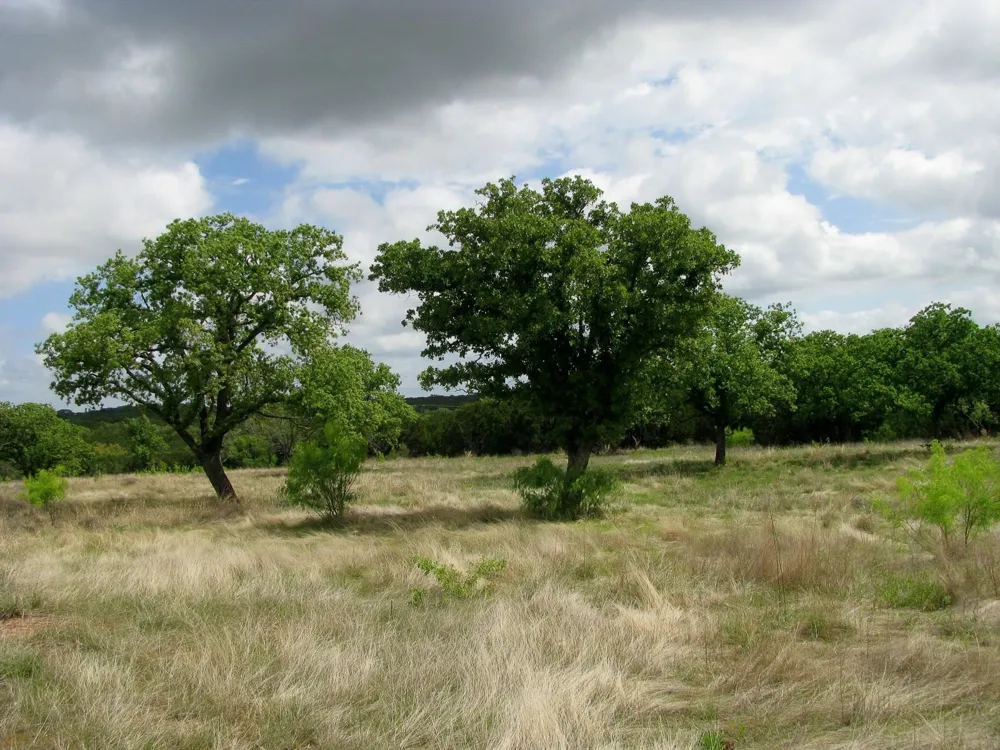 PR 42103 Evant, TX 76525