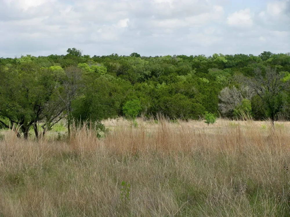 PR 42103 Evant, TX 76525