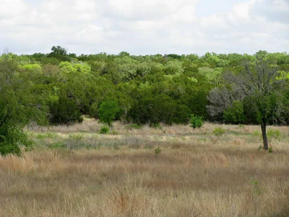 PR 42103 Evant, TX 76525