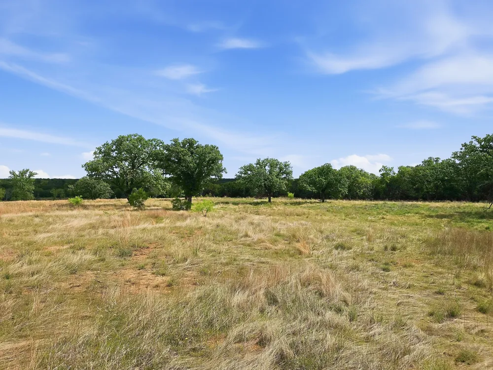 PR 42103 Evant, TX 76525