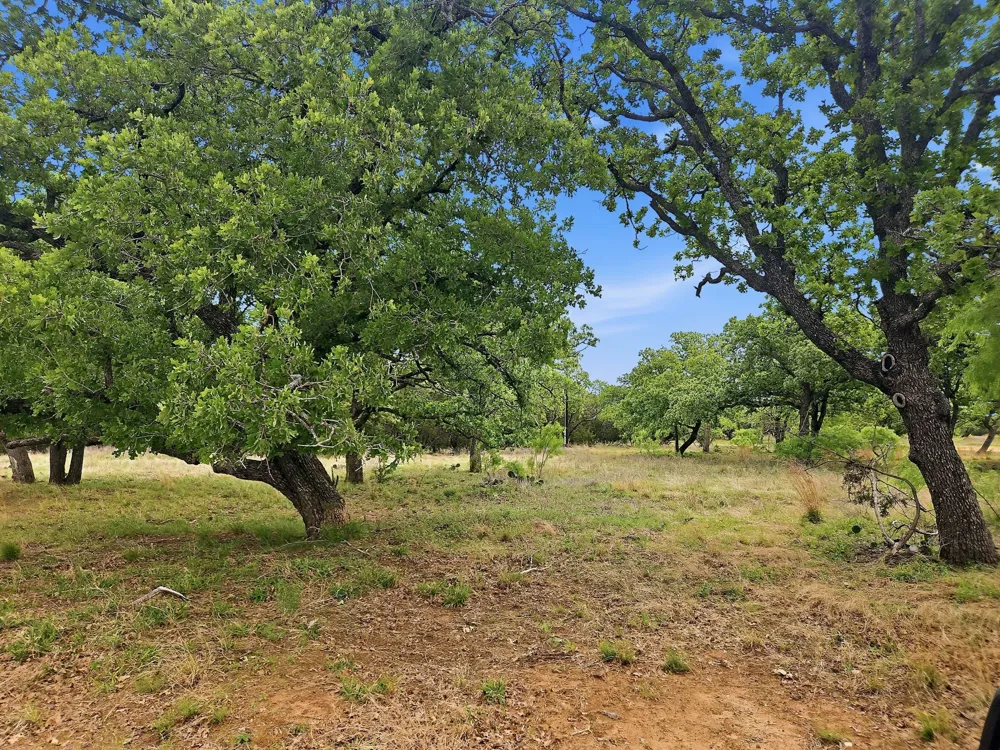 PR 42103 Evant, TX 76525