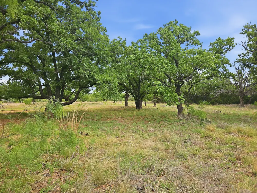 PR 42103 Evant, TX 76525