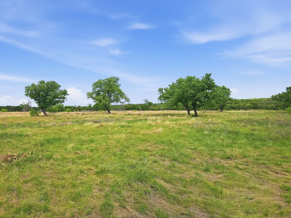 PR 42103 Evant, TX 76525
