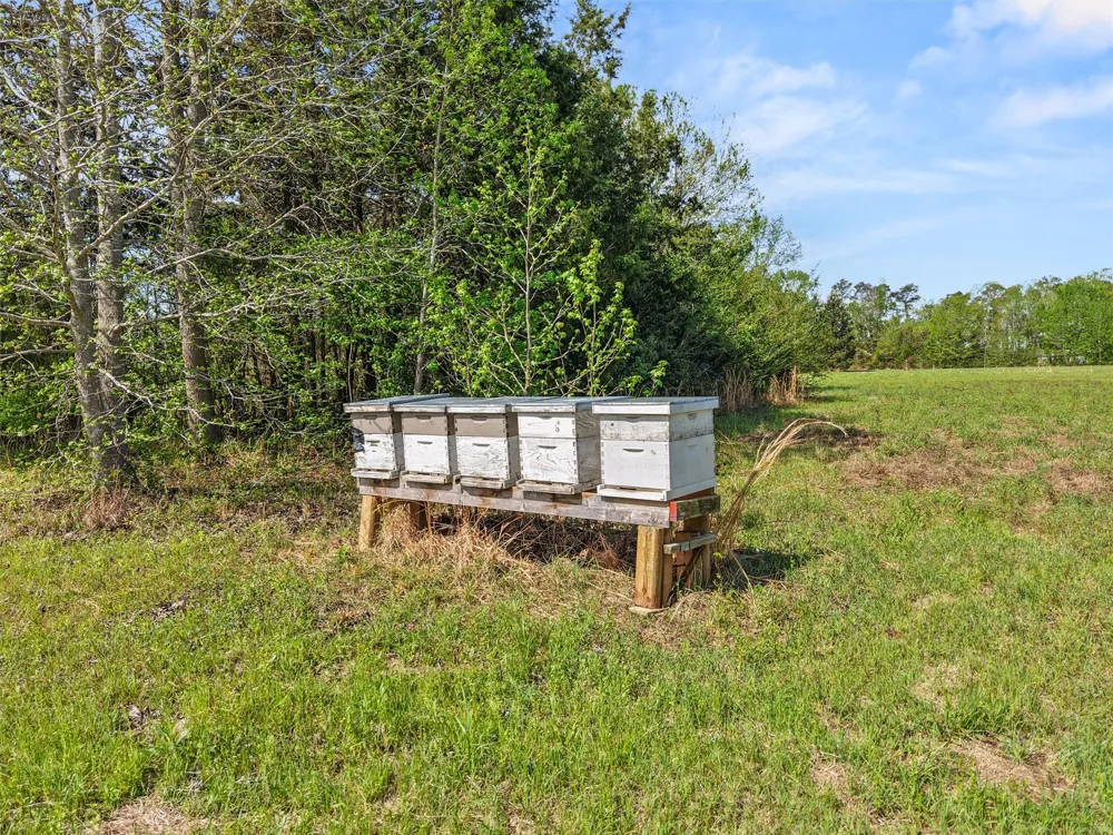 1333 Lupine Road Gilmer, TX 75644