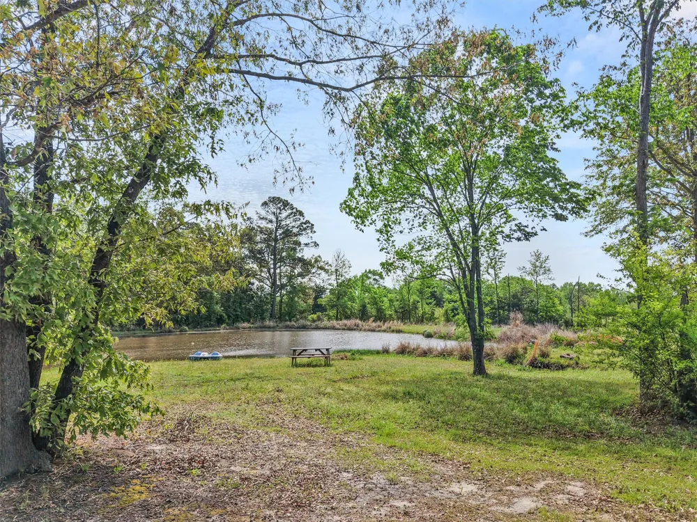 1333 Lupine Road Gilmer, TX 75644