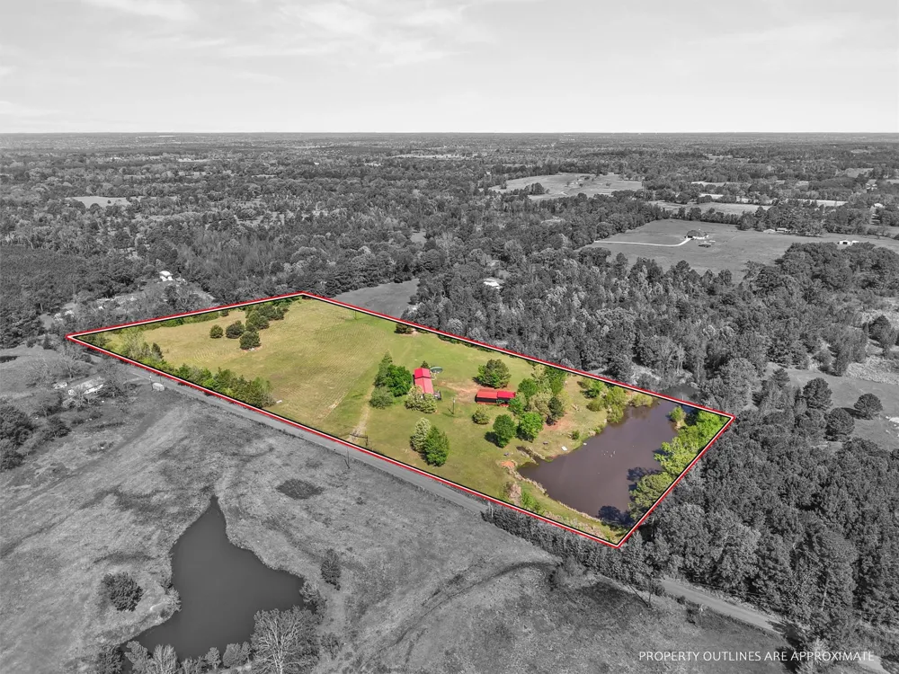 1333 Lupine Road Gilmer, TX 75644
