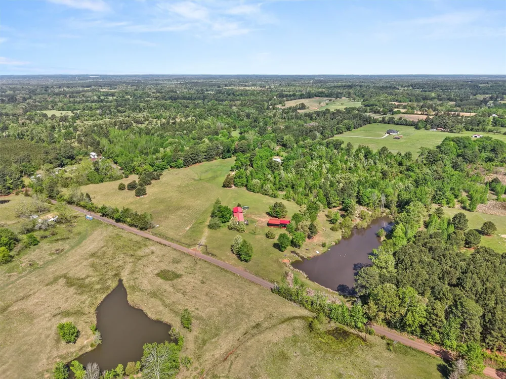 1333 Lupine Road Gilmer, TX 75644