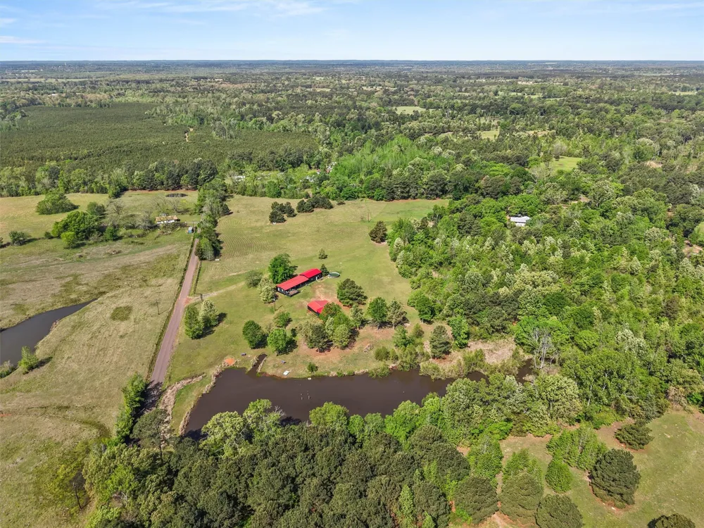 1333 Lupine Road Gilmer, TX 75644