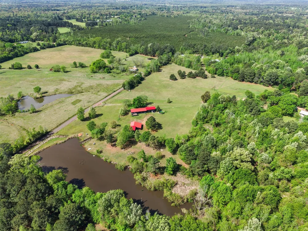 1333 Lupine Road Gilmer, TX 75644