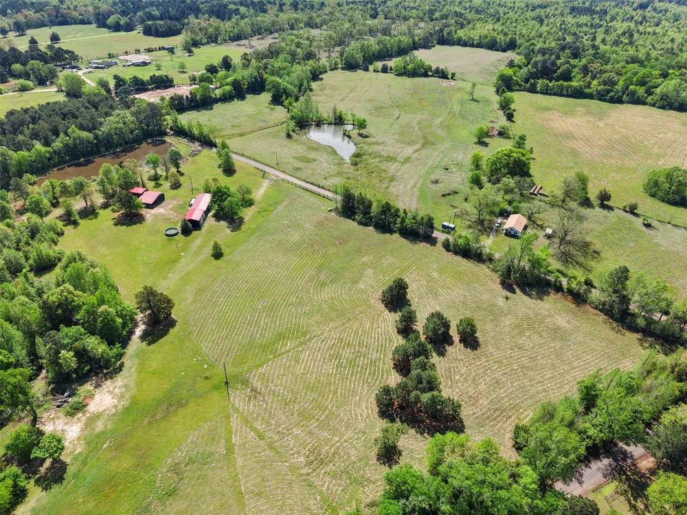 1333 Lupine Road Gilmer, TX 75644