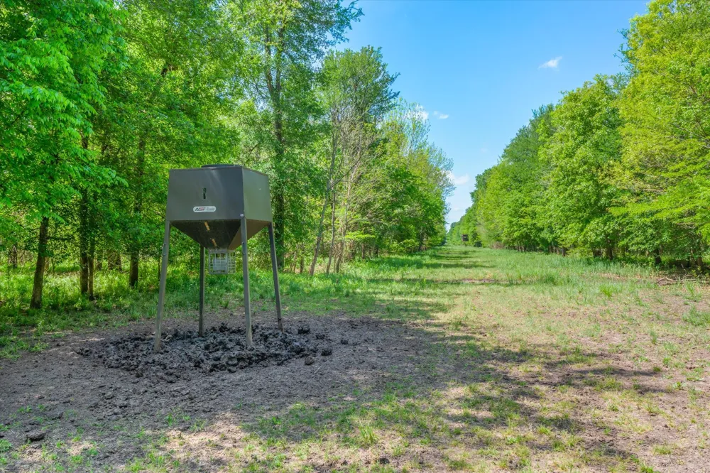 1189 VZ County Road 3702 Edgewood, TX 75117