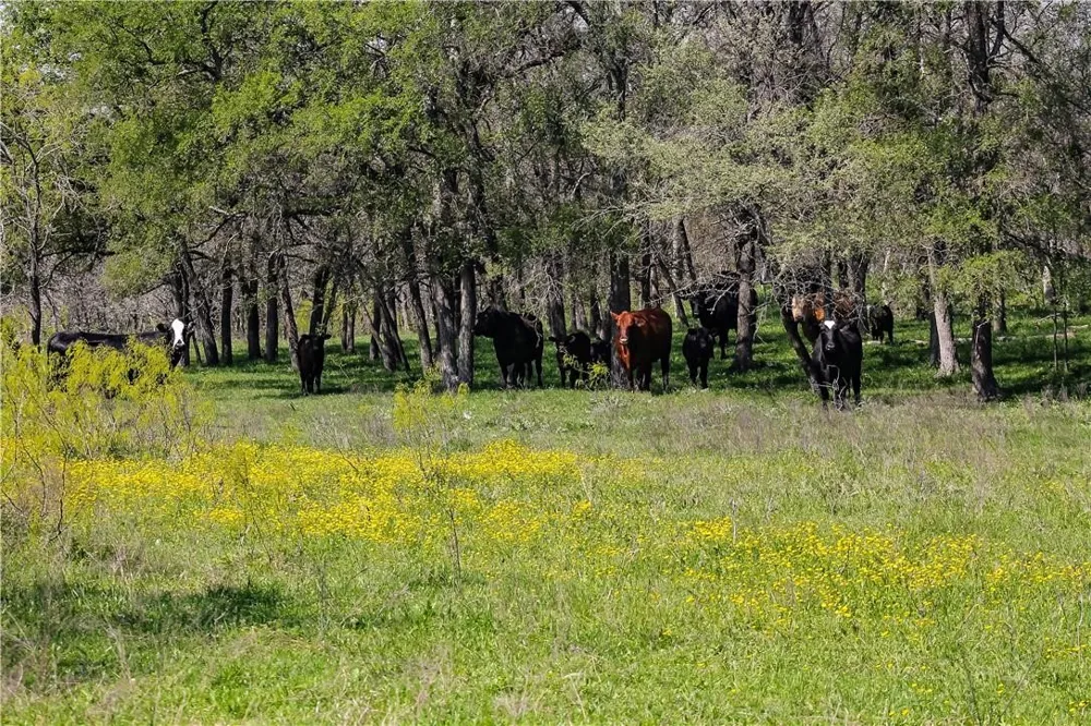 CR 151 Riesel, TX 76682