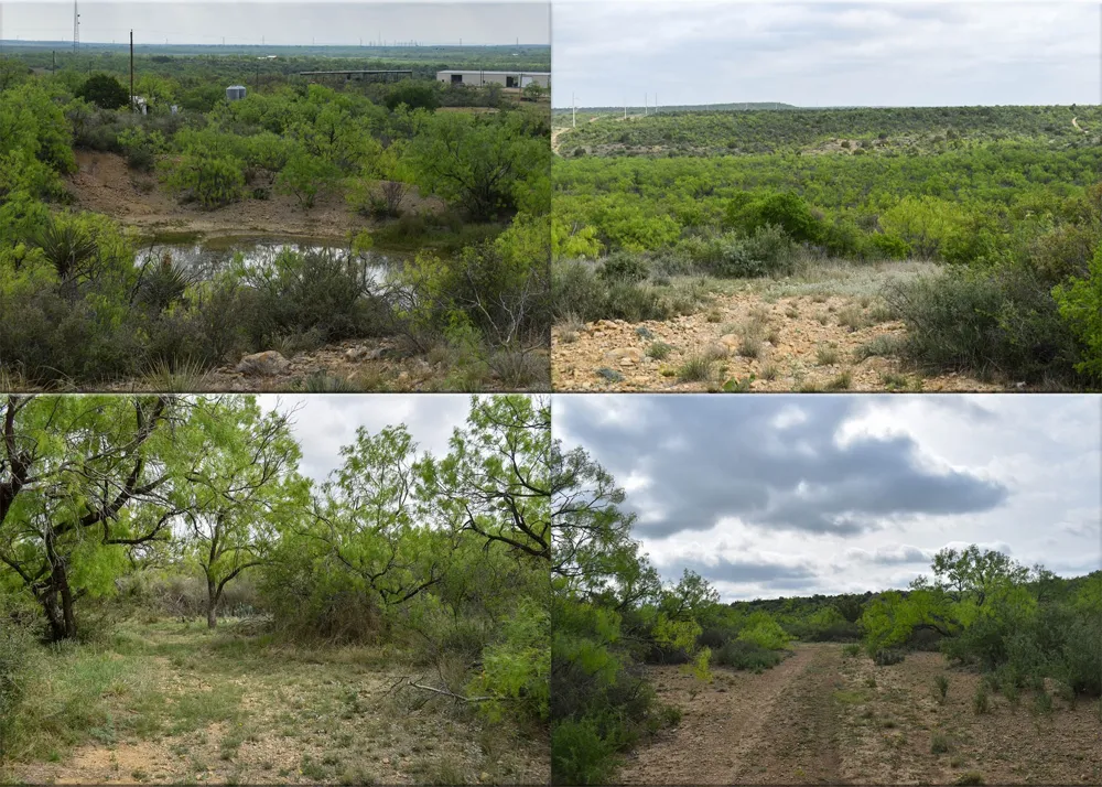 3408 CR 312 Voss, TX 76888