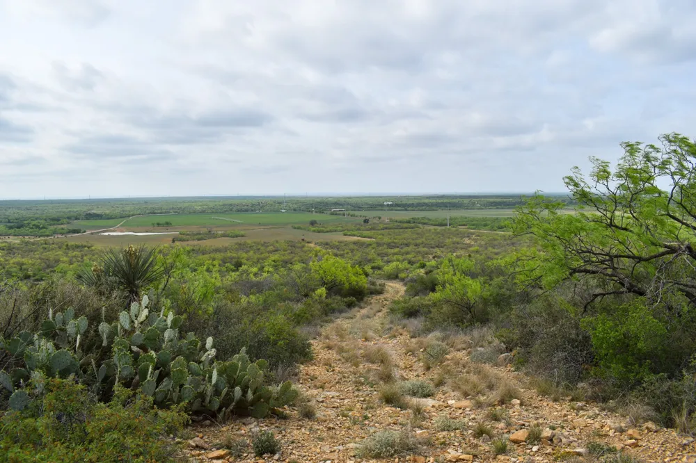 3408 CR 312 Voss, TX 76888