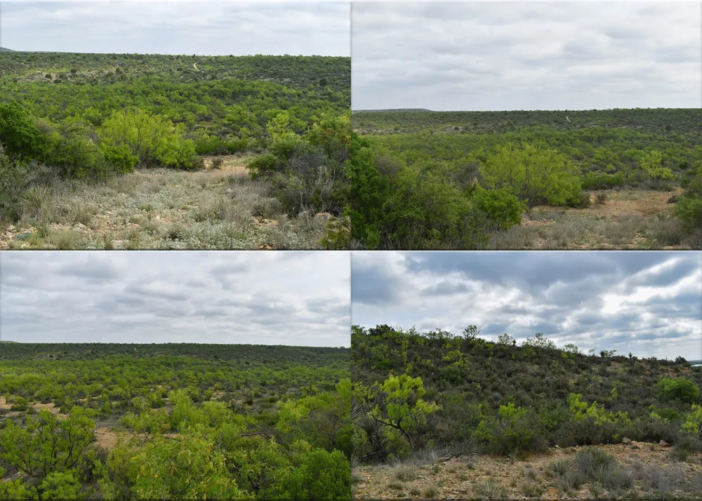 3408 CR 312 Voss, TX 76888
